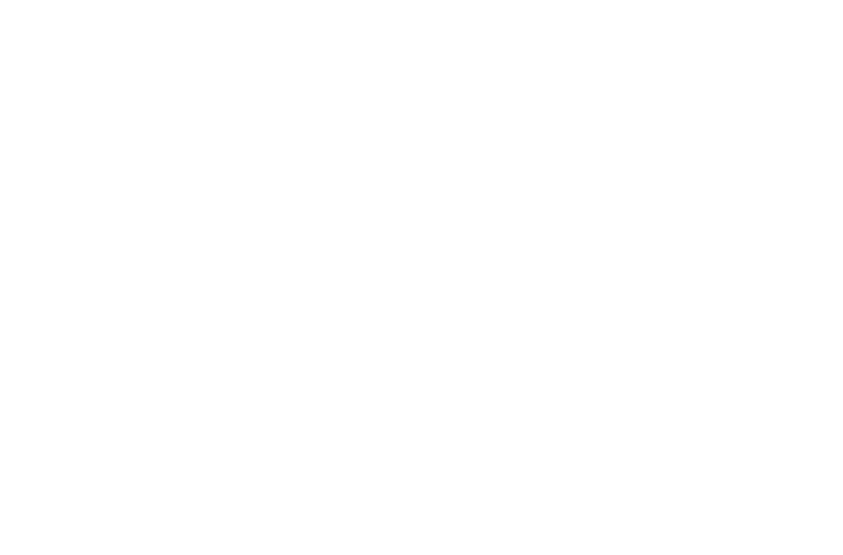 DigiWise
